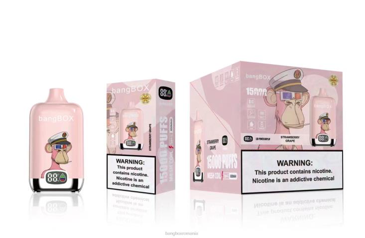 Bang Box Price 002DR44 struguri de căpșuni | Bang Box 15000 pufuri