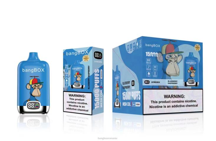 Bang Box România 002DR46 afine zmeura | Bang Box 15000 pufuri