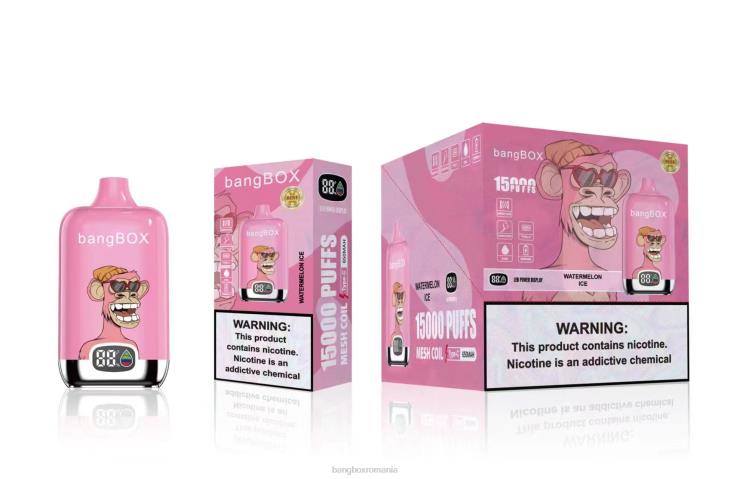 Bang Box Vape Price 002DR45 gheata de pepene verde | Bang Box 15000 pufuri