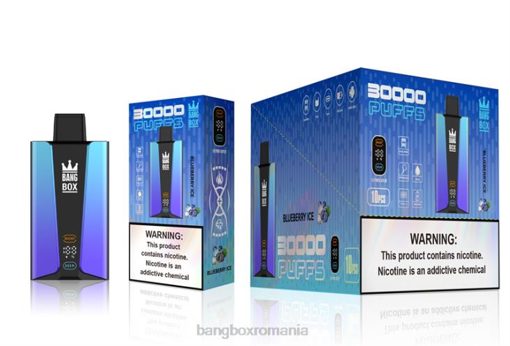 Bang Box Price 002DR79 gheata de afine | Bang Box Ecran inteligent cu 30000 de pufături